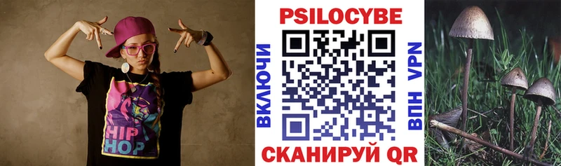 Псилоцибиновые грибы Cubensis  Павловск 
